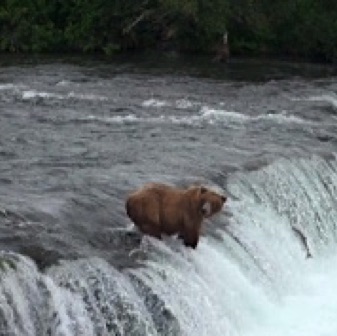 Screen Shot 2016-07-08 at 9.40.00 PM.jpg